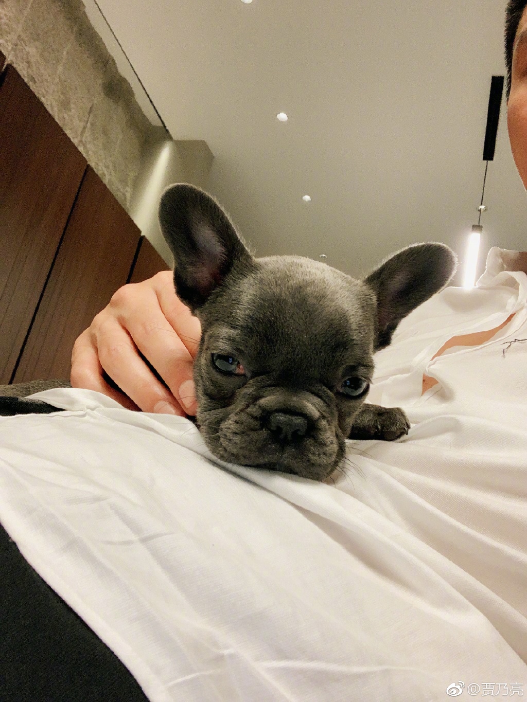 ����ũ��������Ĺ���ʲôƷ�� ���������ڶ����Լ�������