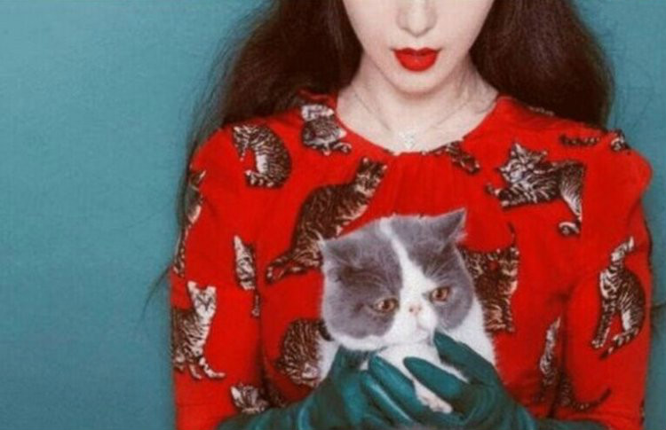 李晨含蓄秀恩爱 深夜示爱范冰冰网友表示受不了