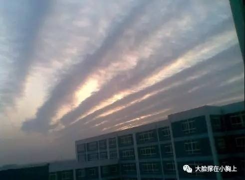 �����Ƴ��ֶ�ú����� ������ͼƬ��ȫ