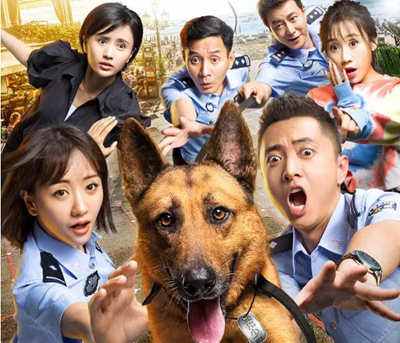 ��Ȯ������ʲôƷ�ֵĹ� ��ȮΪʲô���ܽ�������