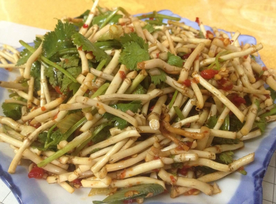 �۶����ǲ������Ȳ� �۶���Ϊʲô����ƨ��