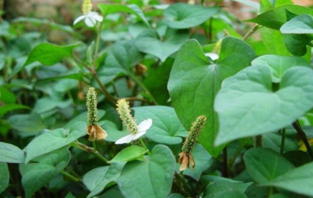 �۶����ǲ������Ȳ� �۶���Ϊʲô����ƨ��