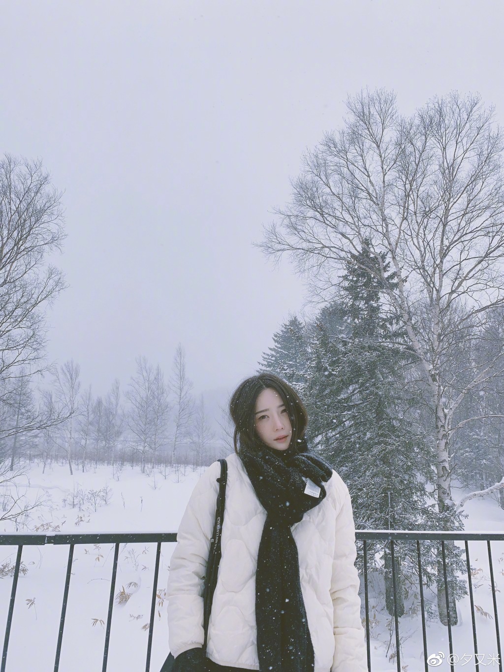 Ϧ����Ϊʲô������ Ϧ���׸��������ԭ����ɶ