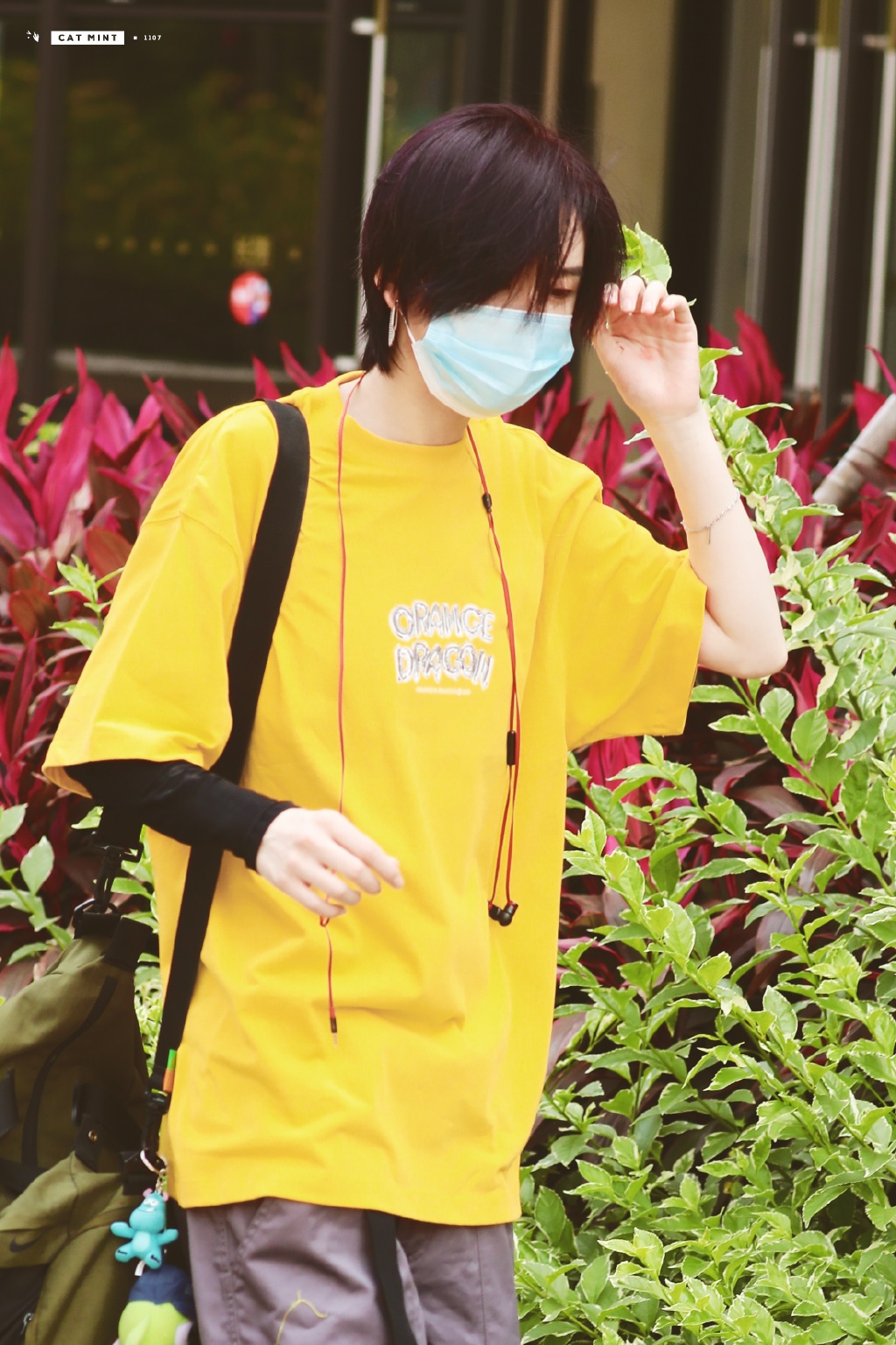 ½��ȼ��������ͼ��ʲô�� �����ַ���һ��������ʲô��ϵ