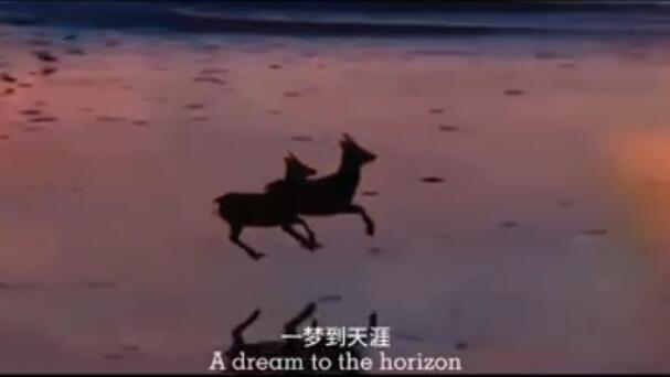 ɵ����Ϊʲô��������·�� ��û���������ô����������