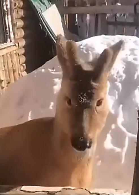 ɵ����Ϊʲô��������·�� ��û���������ô����������