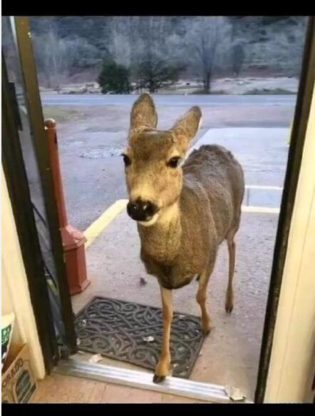 ɵ����Ϊʲô��������·�� ��û���������ô����������