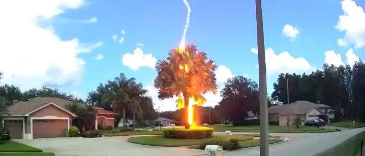 �׻�ľʲôľͷ�������� �������ҵ��׻�ľ