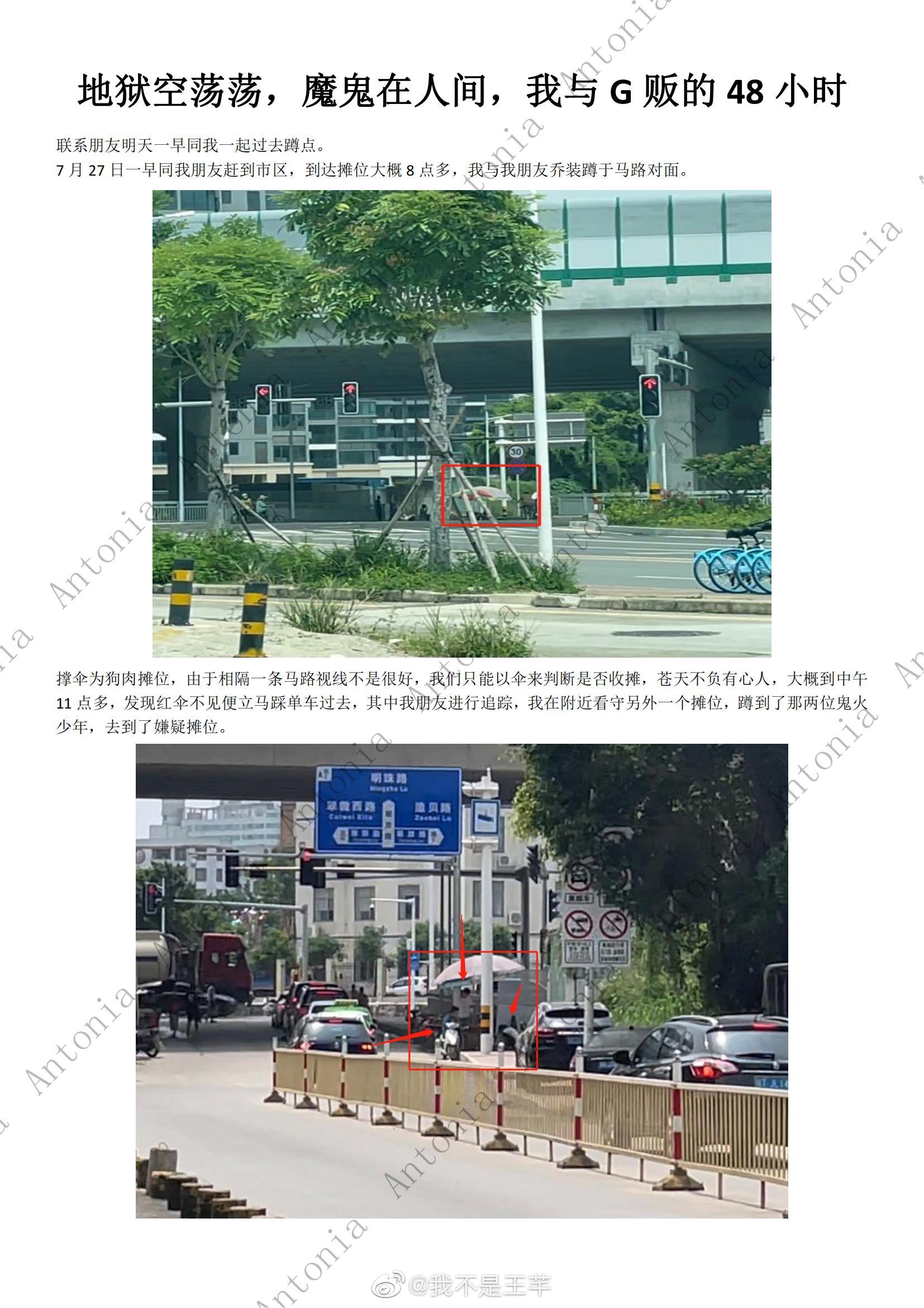 ��Ȯ����ͼƬ ��Ȯ���߱�͵�¼��ع�