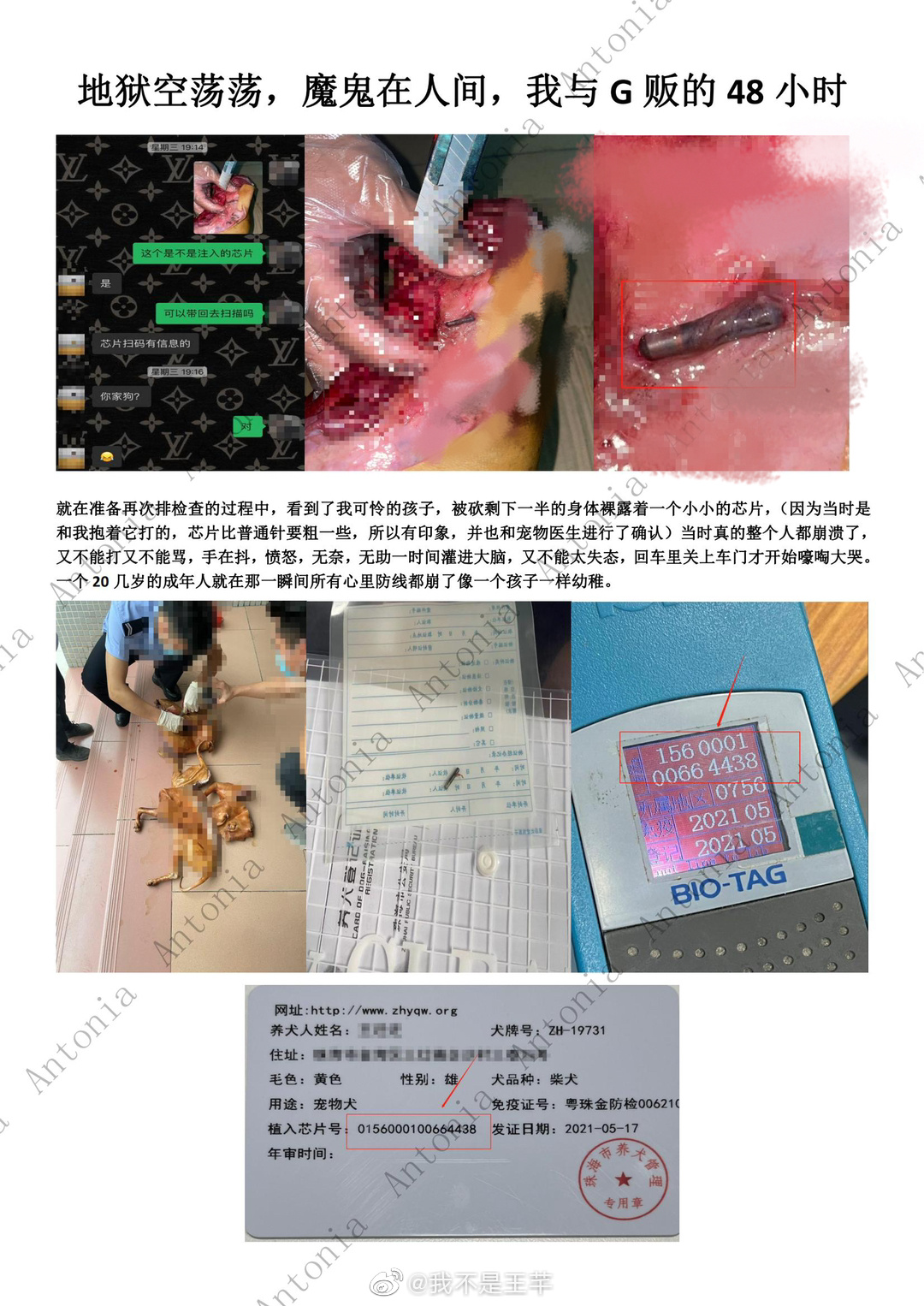 ��Ȯ����ͼƬ ��Ȯ���߱�͵�¼��ع�