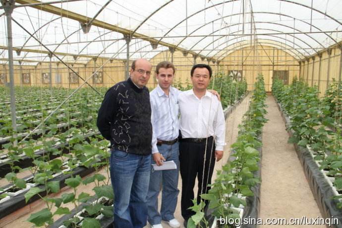 ����������н���� ������Ϊʲô��ô����