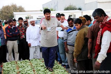 ����������н���� ������Ϊʲô��ô����