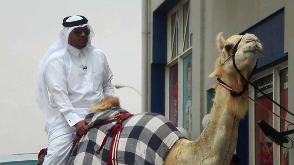 ����������н���� ������Ϊʲô��ô����