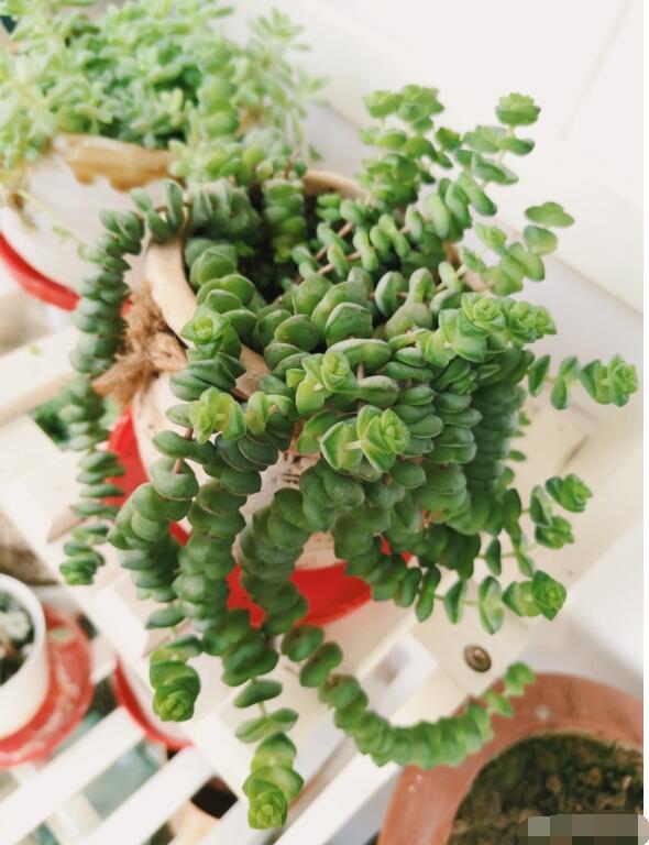 Ǯ���ӿ���ʲôԤ�� Ǯ���ӻ�������в�λ��������