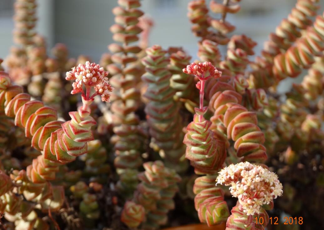 Ǯ���ӿ���ʲôԤ�� Ǯ���ӻ�������в�λ��������