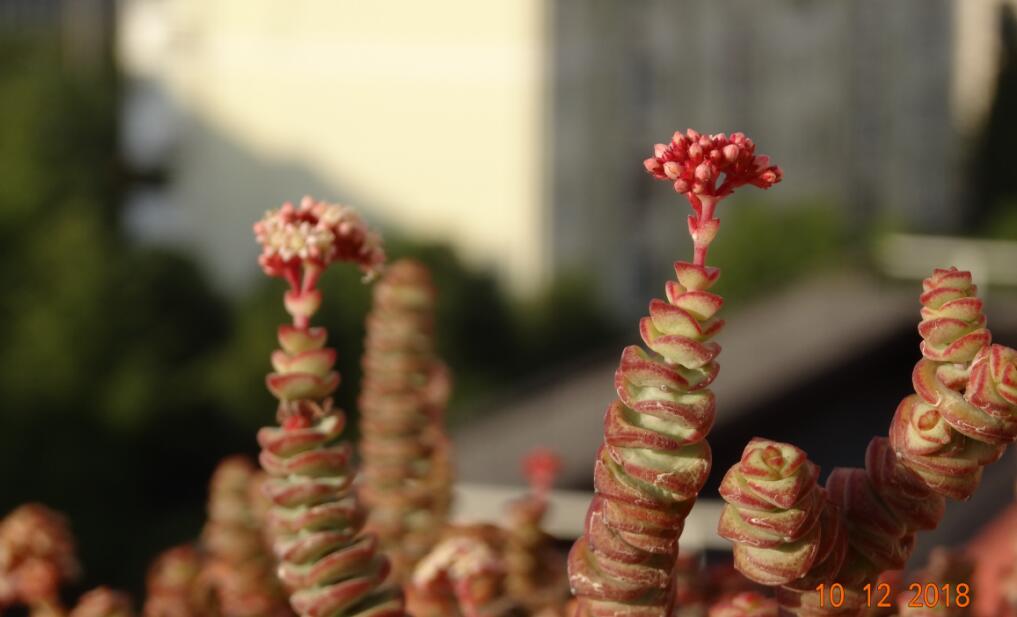 Ǯ���ӿ���ʲôԤ�� Ǯ���ӻ�������в�λ��������