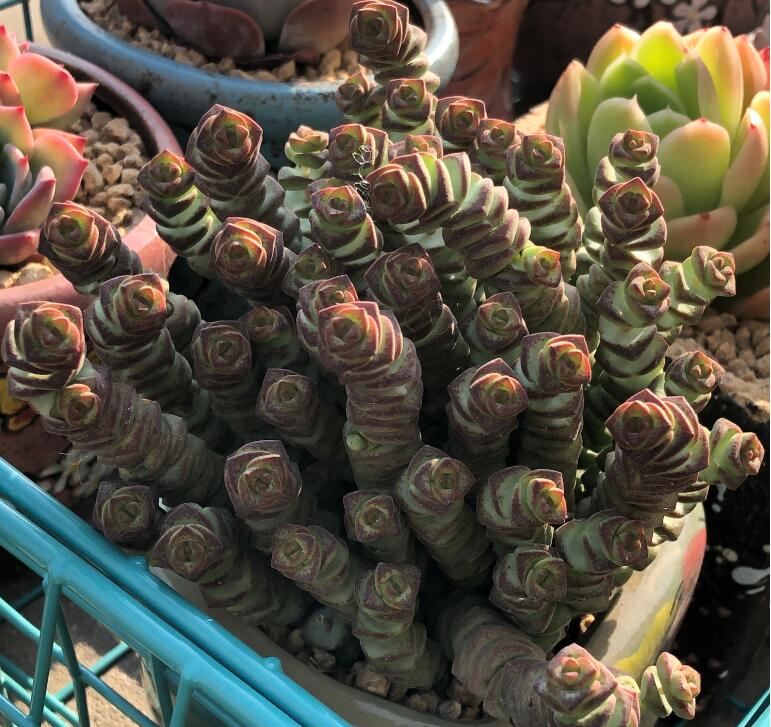 Ǯ���ӿ���ʲôԤ�� Ǯ���ӻ�������в�λ��������