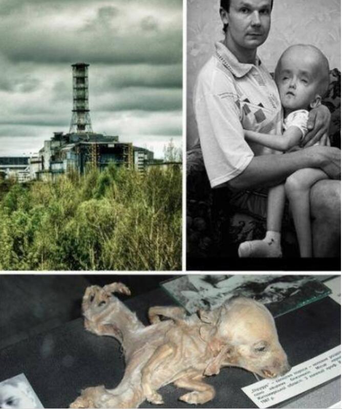 �ж�ŵ��������������Ƭ �ж�ŵ�������ڻ��к˷�����