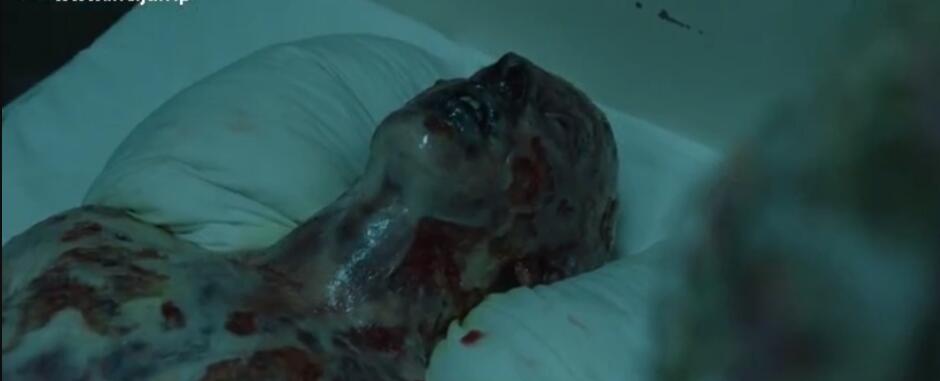 切尔诺贝利变异生物照片 切尔诺贝利现在还有核辐射吗