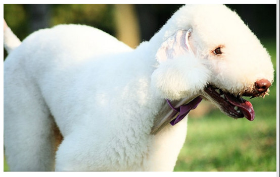 Ϊʲô����ٹ���ô�� ����ٹ����й���������