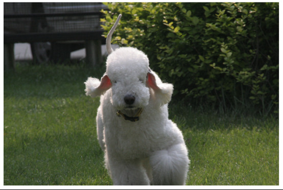 Ϊʲô����ٹ���ô�� ����ٹ����й���������