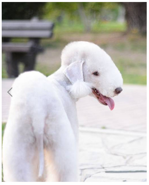 Ϊʲô����ٹ���ô�� ����ٹ����й���������