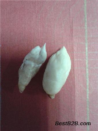 �㱦��ֵ����Ǯһ�� �㱦��ʲô����ͼƬ