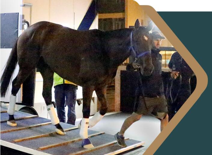 Ϊʲô��һֱ�ܲ����� ��һ���ܶ�Զ��Ҫ��Ϣ