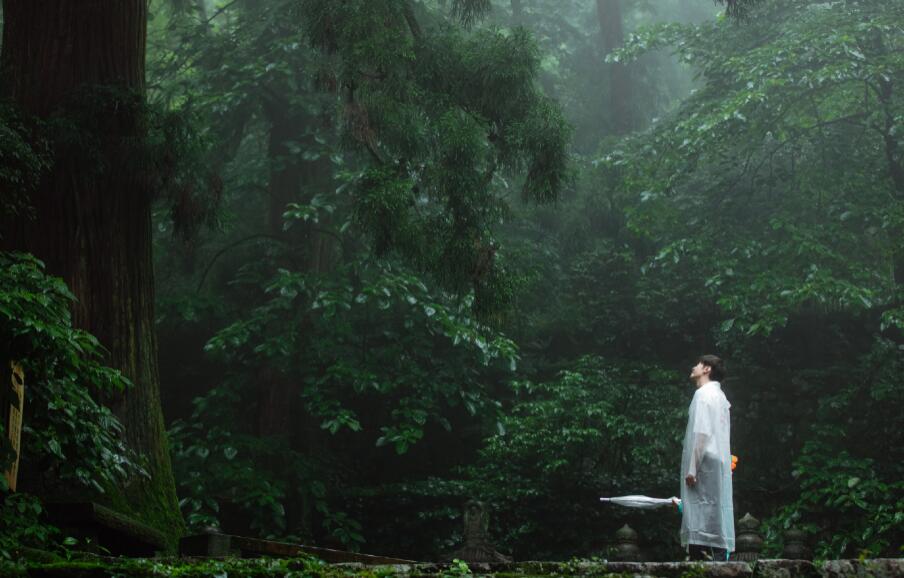 �������С�����ϲ��������� ����Ϊʲô���Ƽ�