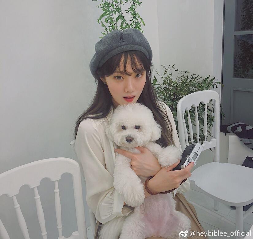 ��ʥ���ǻ���ͽ�� ��Ϊʲô�á�ʥ������������