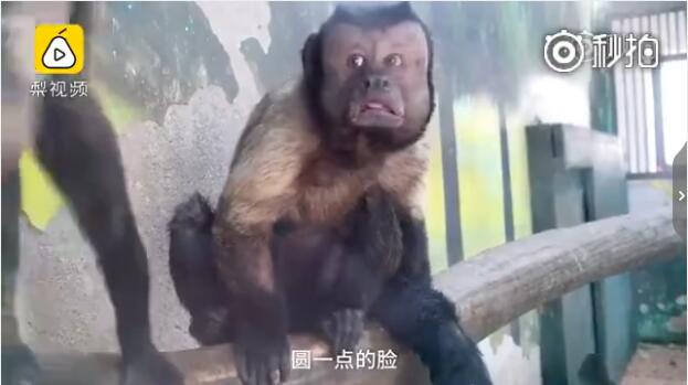 �����԰�������Ǻ�ñ������ ��ñ������ô�����������