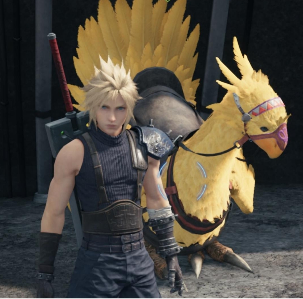 克劳德为什么叫陆行鸟,爱丽丝妈妈,厕神,克劳迪娅 来看