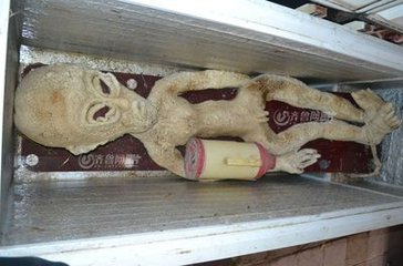 ˹ŵ��˵�����������˿��� ����51����������