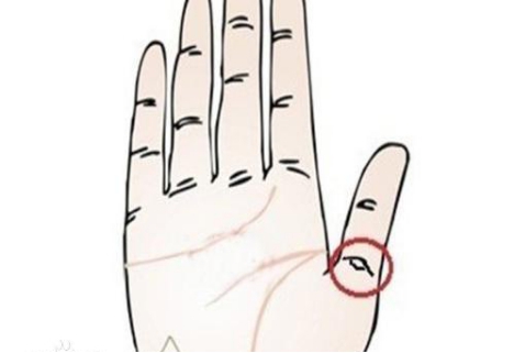 �����Ƶ�����ʲôλ�� �����ƺͷ����Ƶ�������ʲô