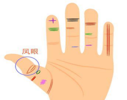 �����Ƶ�����ʲôλ�� �����ƺͷ����Ƶ�������ʲô