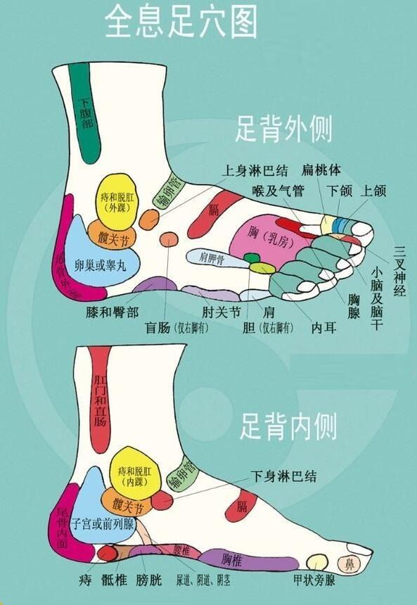 脚底疼痛部位图解高清图片