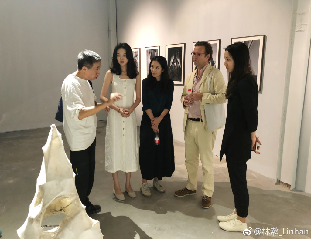 �������(����Ө)��������ʶ�� ���Ϊʲô��������