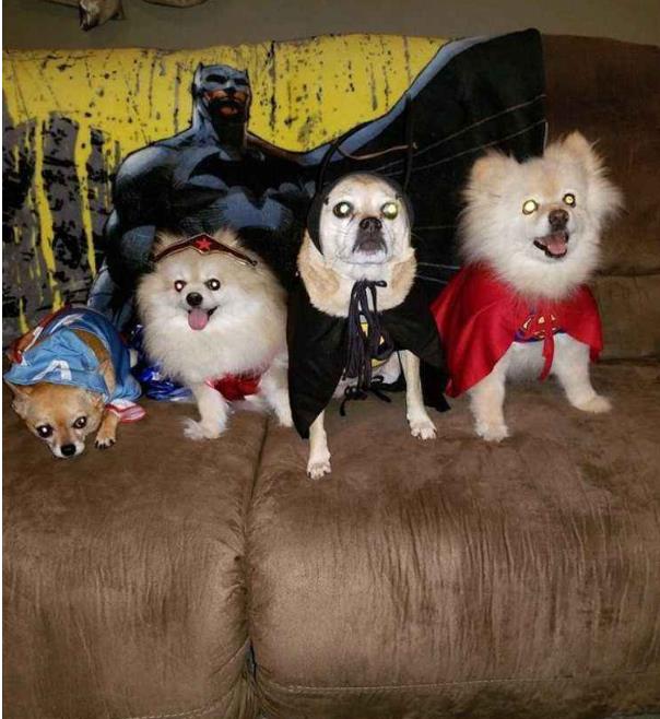 С��ɷ������ʲô��˼ ��ô����