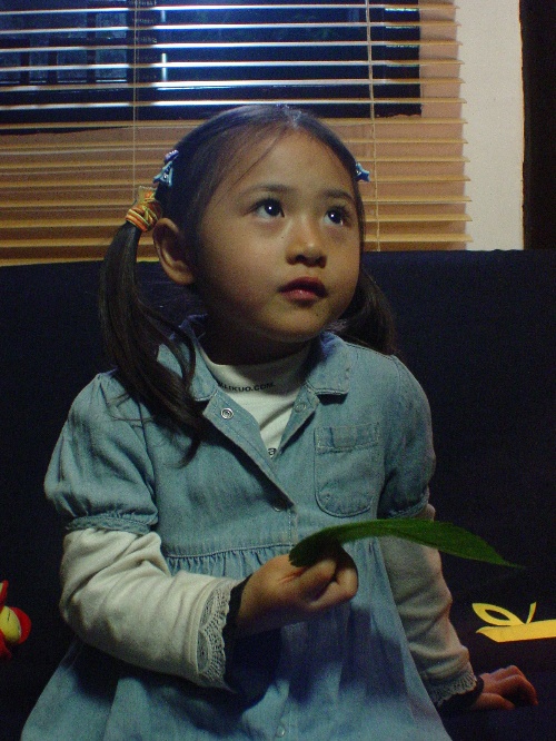 ͯ����Ա�ų�ٻ���ڵ���Ƭ �ų�ٻ��������ѧ��