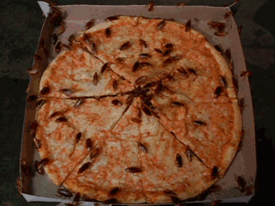 ���Ϊʲôɱ���� ���Ϊʲô��������ǿ