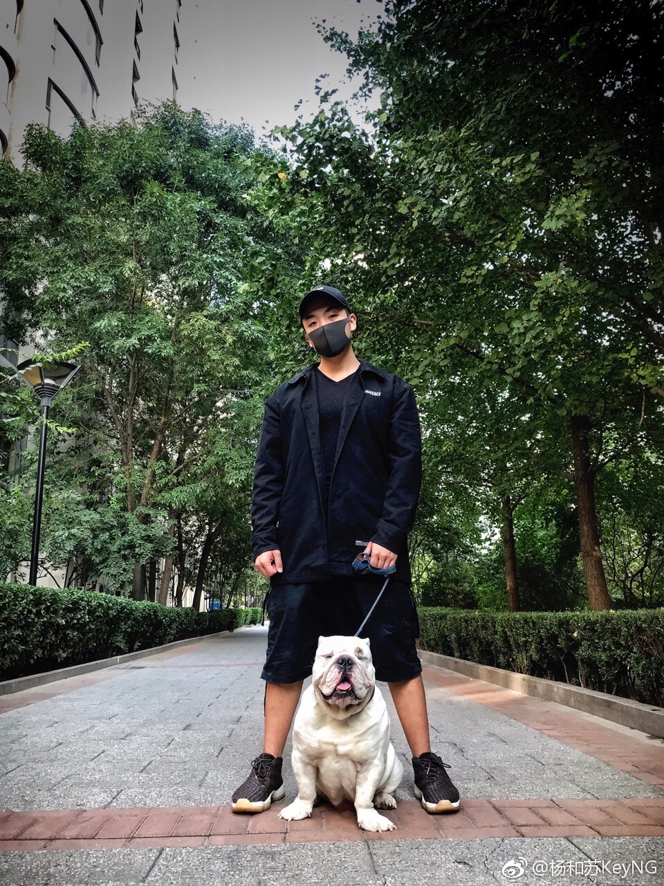 ��������ĸ����� �������ܰ����������