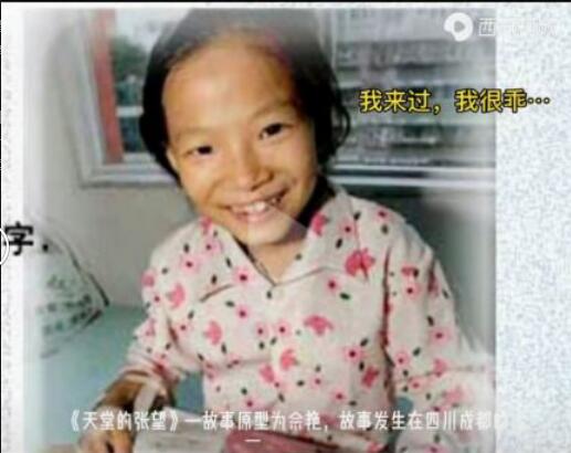 ���õ���������ԭ�� �ۺ���ĵ����