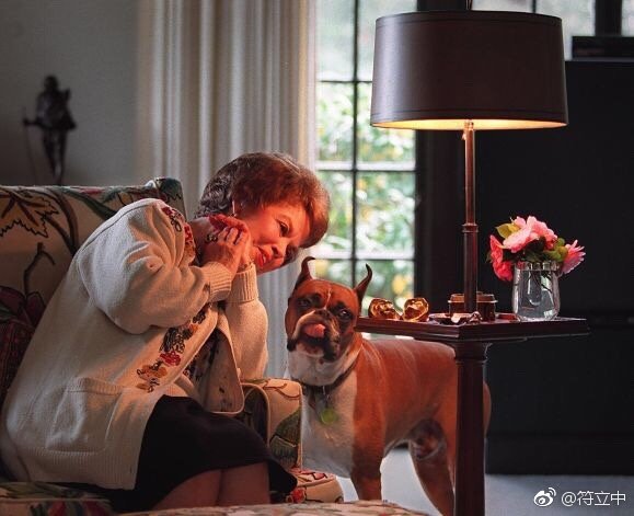 �˲������ᡢ���ꡢ��ů��Ƭһ�� ���������ɷ�������Ƭ