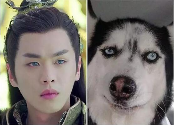 ������������������ ���������ӽ�˭����Ǯ