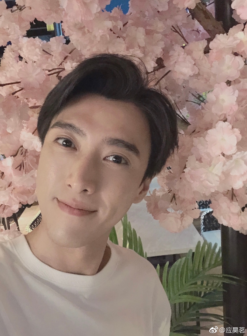 Ӧ����������ϼ�� Ů������˭��