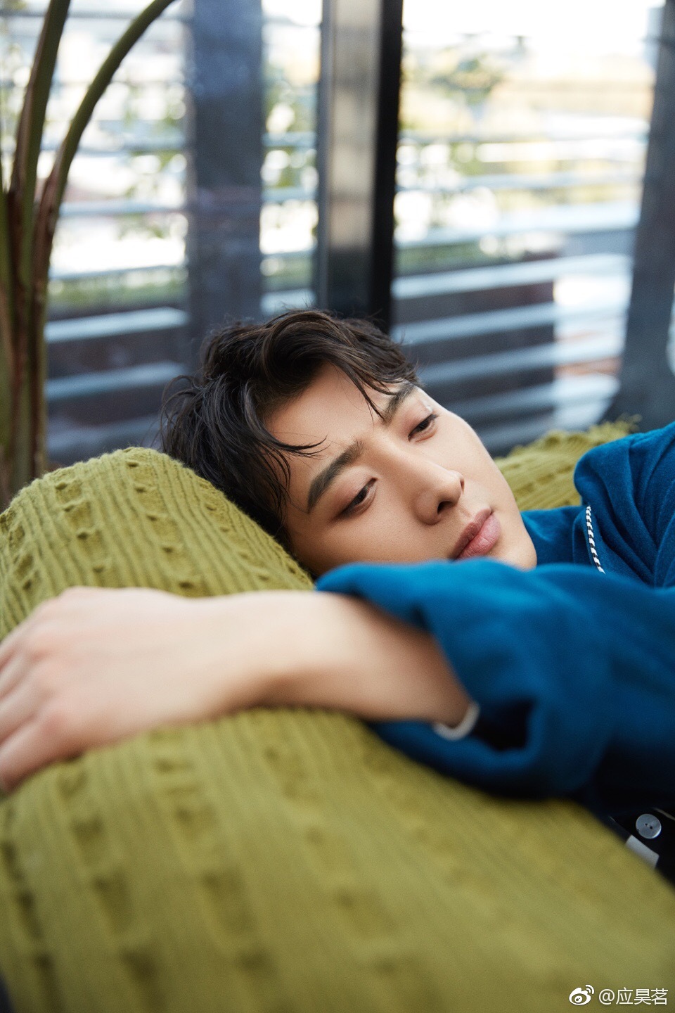 Ӧ����������ϼ�� Ů������˭��