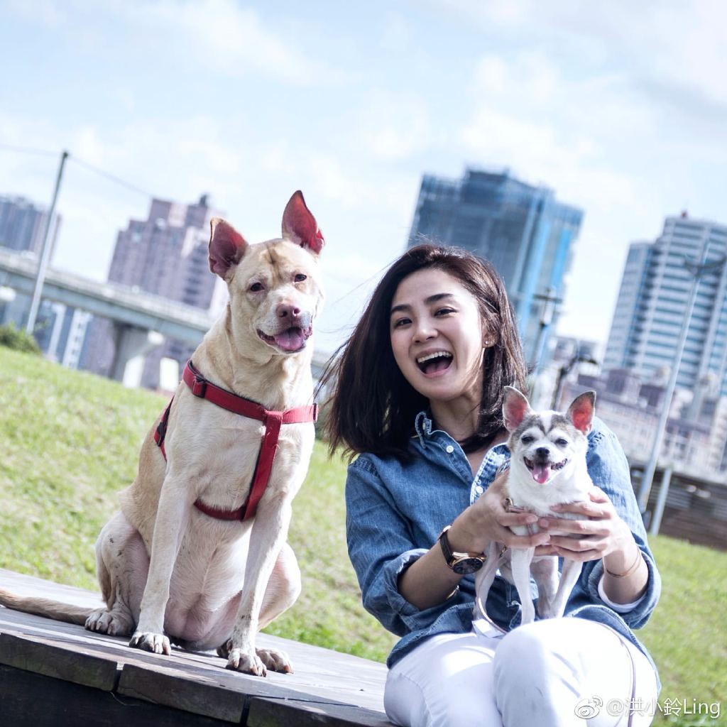 ��С��Ϊʲô���� ��С���Ϲ���������