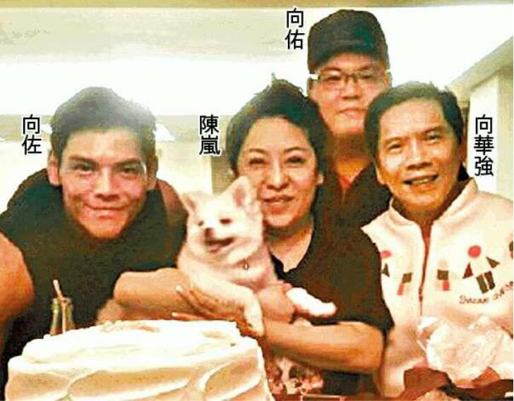 �����ǲ�����ǿ�ͳ�������� ����Ϊʲô������