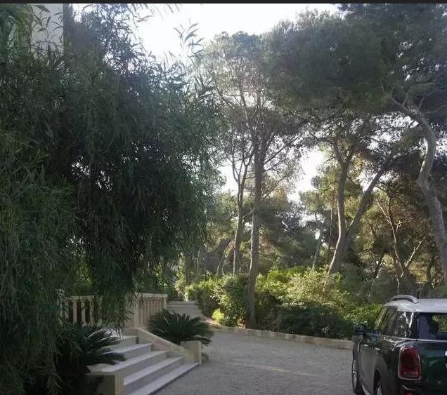 �����������լ������ ���������ô�������������۶�����