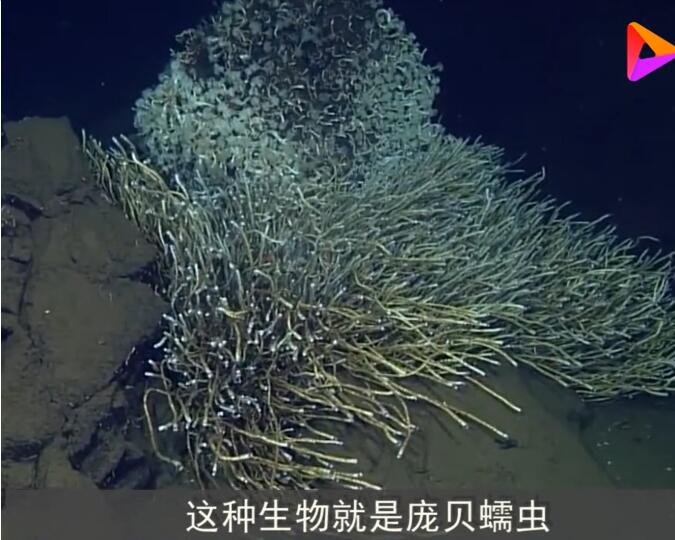 �ӱ����Ϊʲô�͸��� ��������һ�����Ǻ�����